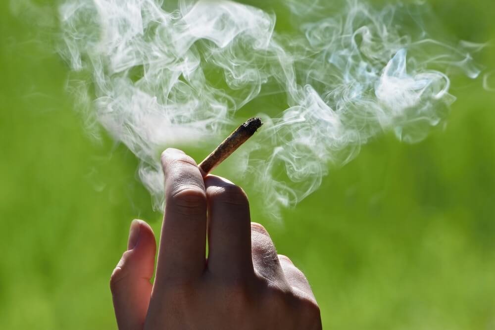 The Legalization of Marijuana in New Jersey and What it Means for You